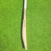 SG Players Ultimate Grade 2 English Willow - SH