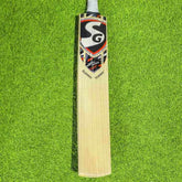 SG Sunny Tonny English Willow - SH