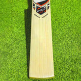 SG Sunny Tonny English Willow - SH