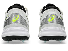 ASICS Speed Menace FF Cricket Shoes