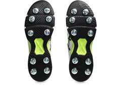 ASICS Speed Menace FF Cricket Shoes