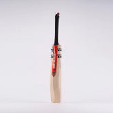 Gray Nicolls Academy Cricket Bats - Juniors