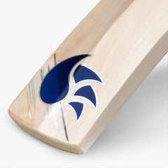 DSC Pearla X Players Edition English Willow Bat - SH