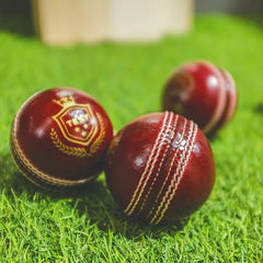 CricCounty Cricket Balls Adults