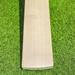 DSC SPLIT SERIES 4.0 Cricket Bat - SH