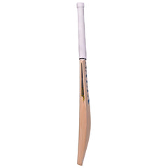 SALIX AIR Alba SH