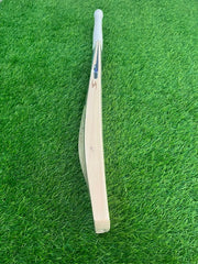 TON Player(Moeen Ali) Edition English Willow Bat- SH