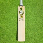 SG Sunny Gold English Willow - SH