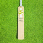 SG Sunny Gold Icon English Willow - SH