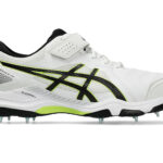 ASICS Speed Menace FF Cricket Shoes