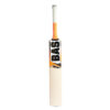 CricCounty | Cricket Equipment Shop UK – Bats, Pads & More