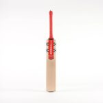 GN Astro 5 Star Adult Cricket Bat