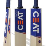 CEAT GRIPP MASTER ENGLISH WILLOW BAT