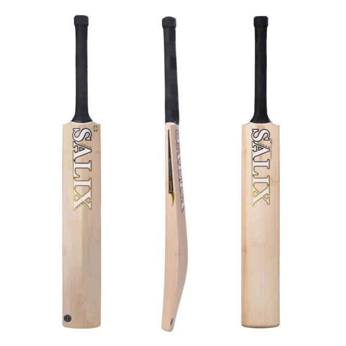 Salix AMP Performance Cricket Bat - SH