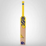 DSC Bravado Vibes Cricket Bat